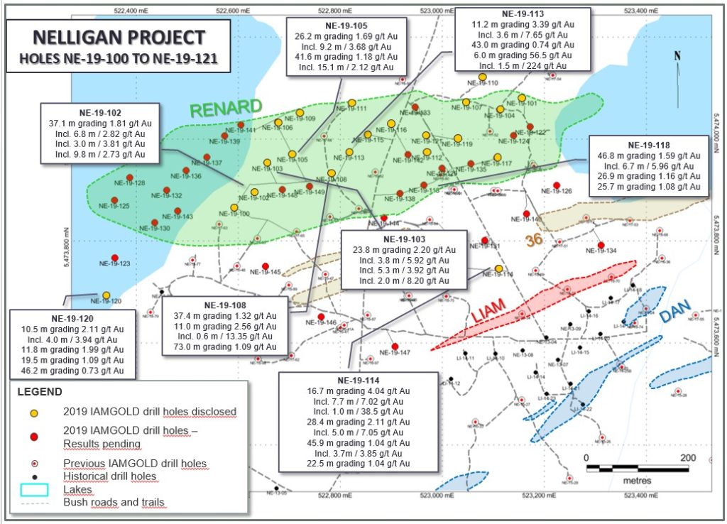 Nelligan Project